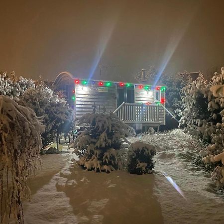 The Little John Petite Cosy Log Cabin - Sleeps 2, Great For Romantic Breaks, Couples, Single Guests, Near Sherwood Forest At Fairview Farm, Nottingham Set In 88 Acres Blidworth Exteriör bild